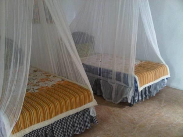 Taman Ayu Homestay Munduk Mitra Reddoorz ภายนอก รูปภาพ